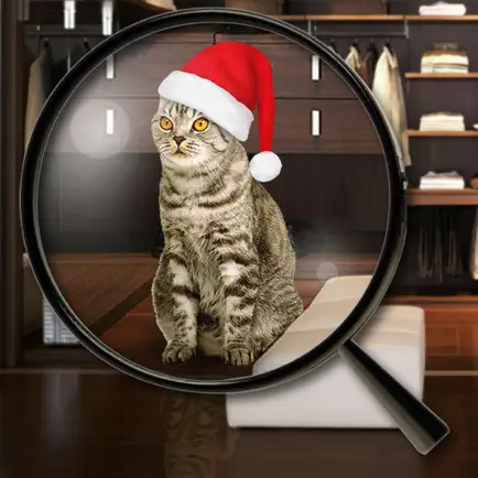 Hidden Object - New Year Cheats