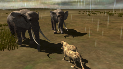 Africa Wild Free Screenshot