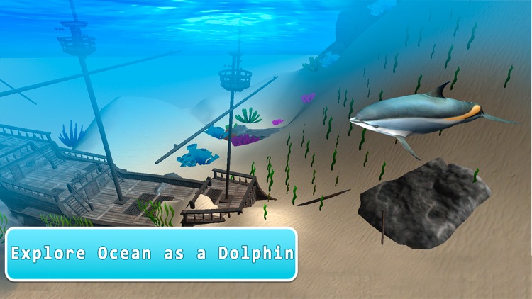 Sea Dolphin Simulator 3D