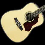 12-String Guitar Tuner Simple App Problems