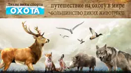 Game screenshot Зимние виды Охота: Снайпер съемки приключение в джунглях mod apk