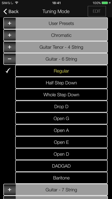 IbanezTuner screenshot1