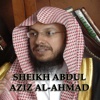 Abdel Aziz Al Ahmed