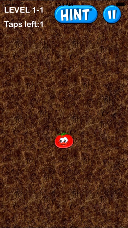 Farm Garden Crush Fruit Classic - Tomato Crush Smash