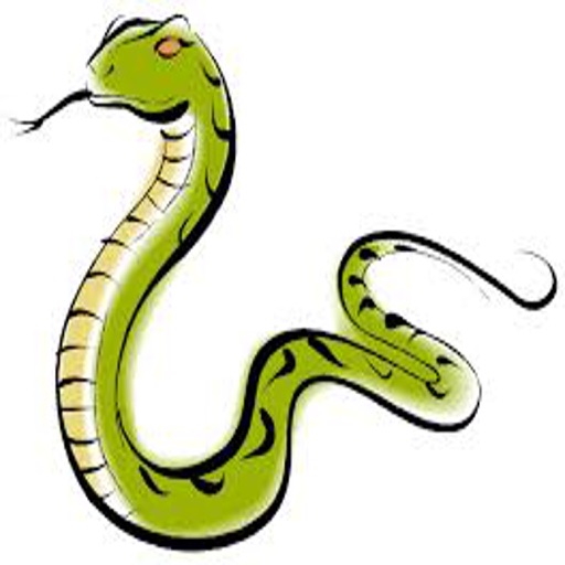 Swift Snake icon