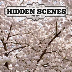 Activities of Hidden Scenes - First of Spring
