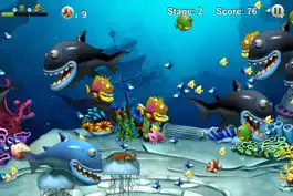 Game screenshot Feeding Frenzy - Eat Fish hack