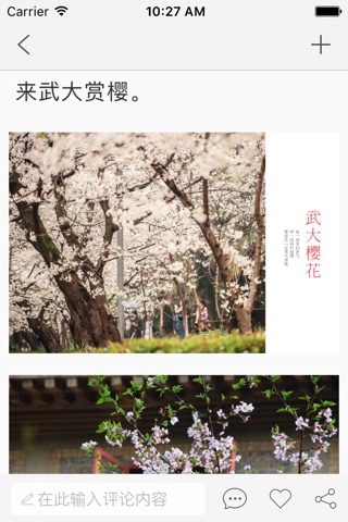 白马山旅游 screenshot 2