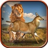 Wild Lion Simulator Game