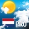 Find quickly and easily every day the weather forecast LIVE for Netherlands supervised 24/24 by weather forecasters experts updated up to 10X a day