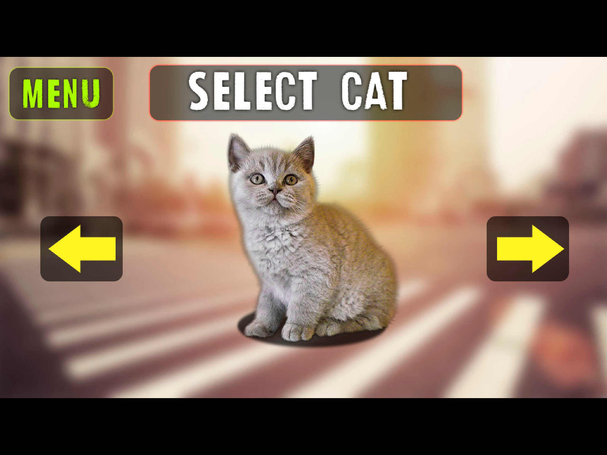 Cat In City Simulator