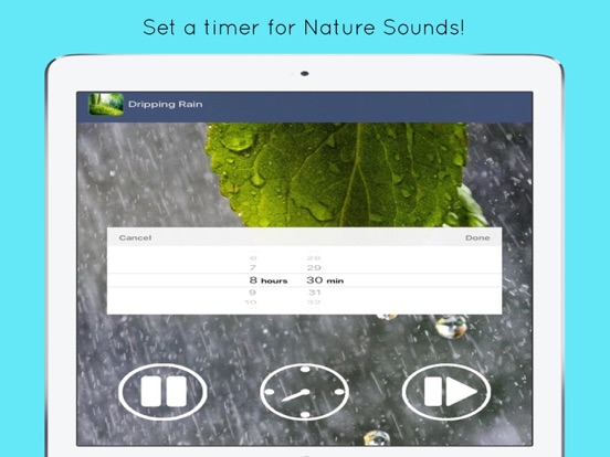 Screenshot #6 pour Nature Sounds: Relaxing Audio