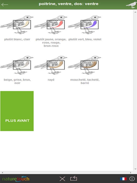 Screenshot #6 pour Identifier 500 oiseaux, naturetouch