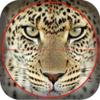 Brute Wild Hunting