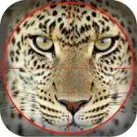 Brute Wild Hunting
