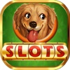 Dogs Store : Play Big Bonus Casino & Lucky Rich Vegas Jackpots Free