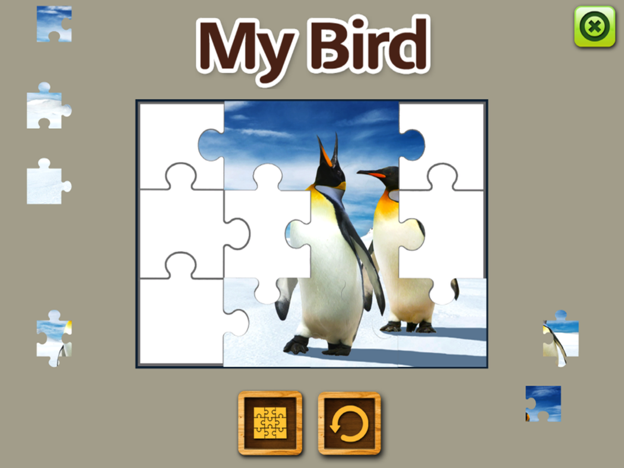 MY BIRD - Augmented Reality