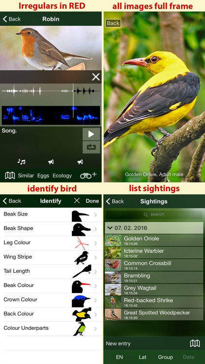 All Birds Netherlands - A Complete Field Guide to the Official List of Bird Species Recorded in the Netherlands screenshot-4