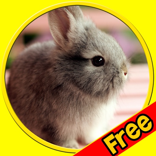 exciting rabbits for kids - free icon