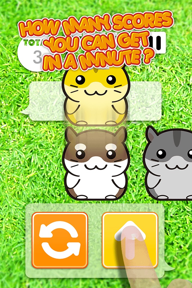 Hamster Dojo - Best Fun Pocket Games Play With My Littlest Pet Hamsters screenshot 3