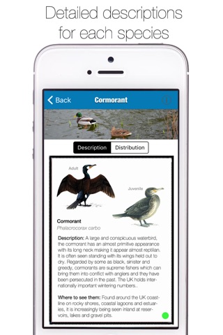 UK Seabird Guide screenshot 3