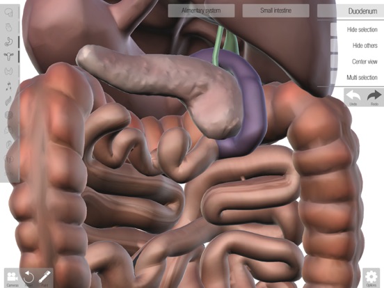Screenshot #5 pour Human Anatomed
