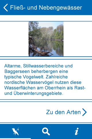 R(h)einhören - Vogelvielfalt am Oberrhein screenshot 2