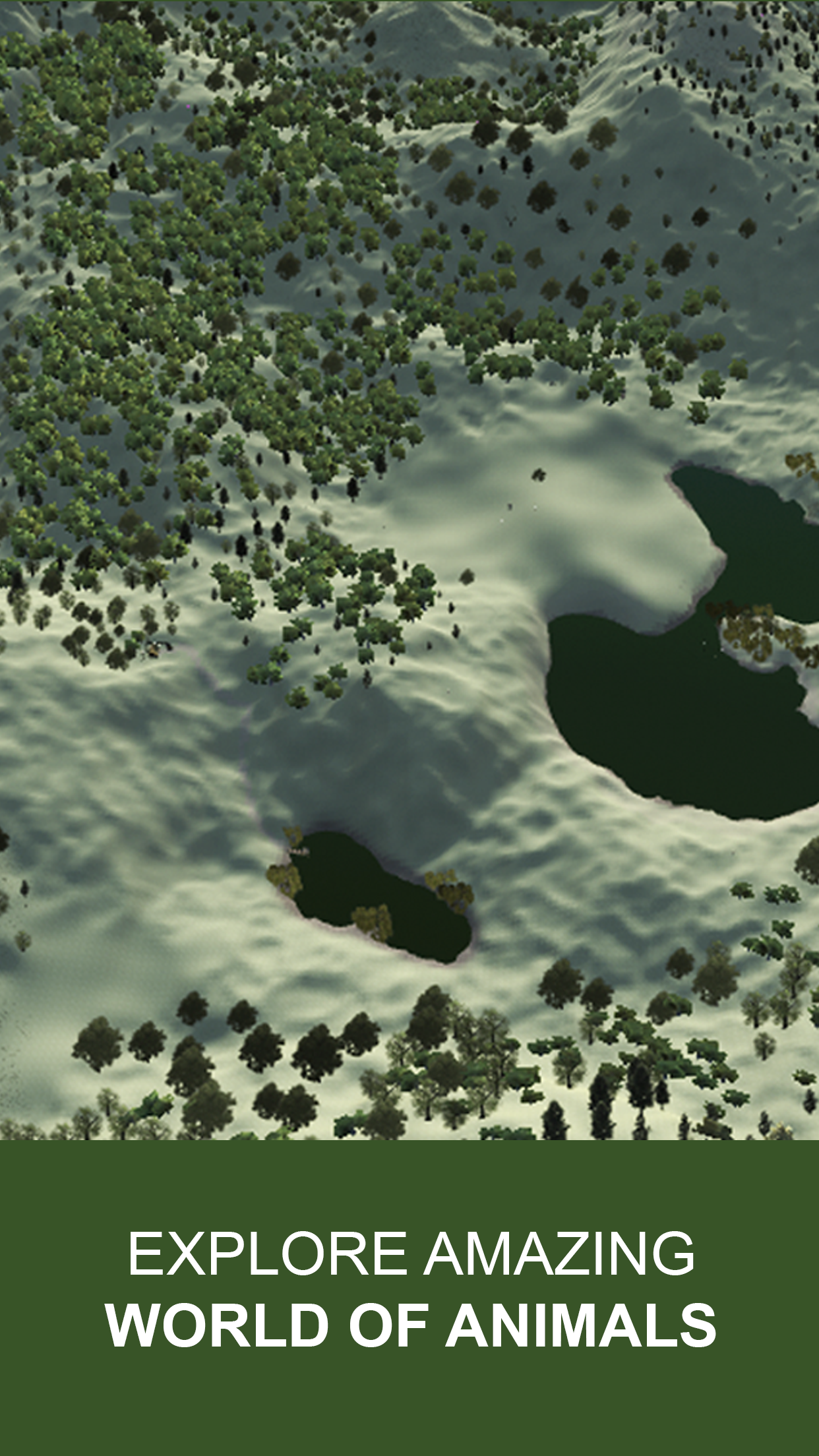 Explain 3D: Forest animals FREE