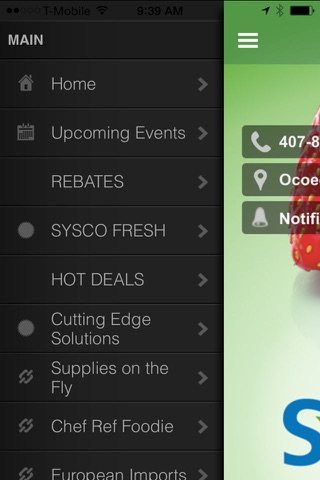 Sysco Solutions CFL screenshot 2