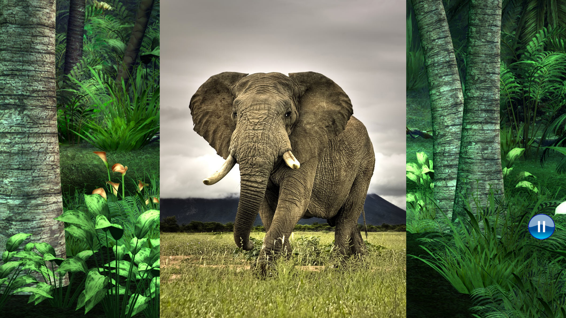 Sounds of Jungle screenshot 11