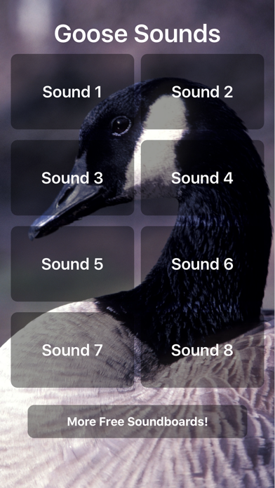 Goose Soundsのおすすめ画像1