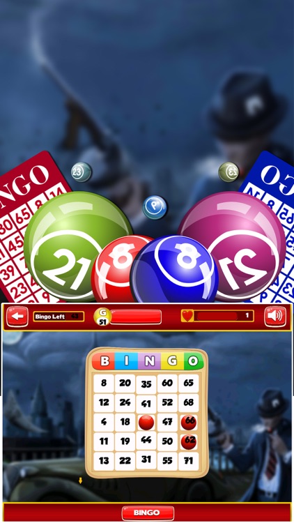 Lucky Day Bingo - Bingo Game