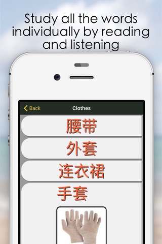 Hasen Chinese Vocabulary screenshot 2