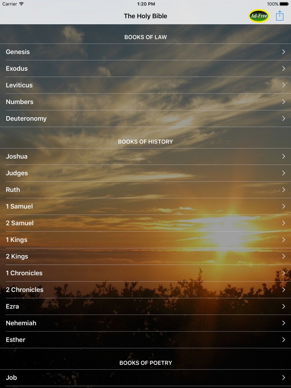 iPad screenshot