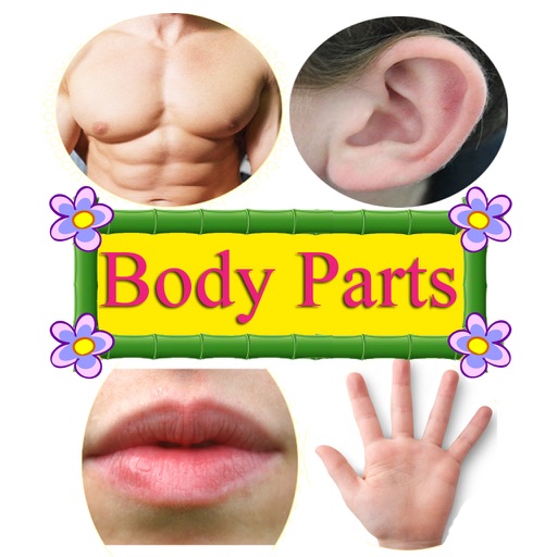 Parts Of Body Learning-Teach Your Kids and pre-schooler babies Game icon