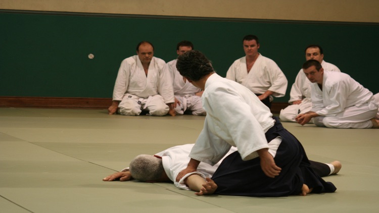 Aikido 2016 screenshot-4