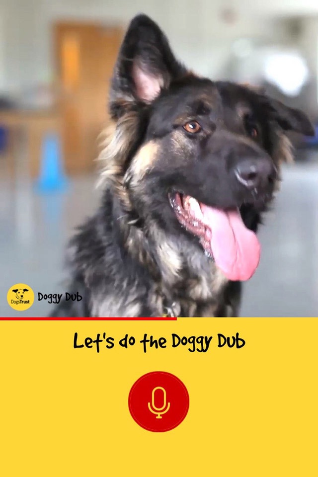 Dogs Trust Doggy Dub screenshot 3