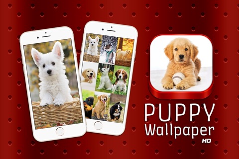 Puppy Wallpaper HD Free - Cute Dog Puppies Background.s For Adorable Screen screenshot 3