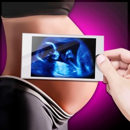 Simulator Ultrasound Joke