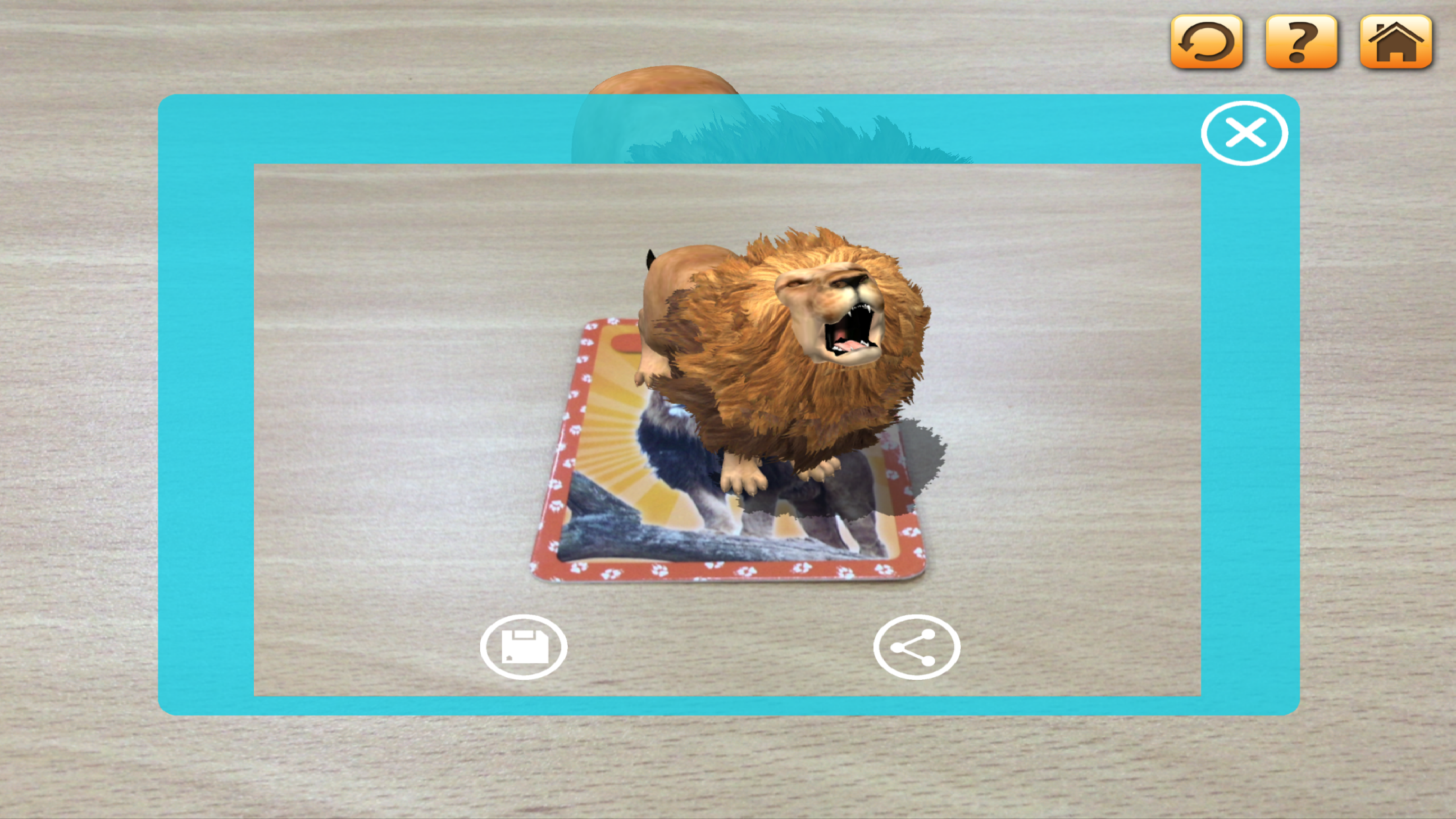 3D LEARNING CARD SAFARI screenshot 3