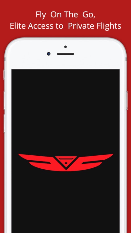 Fly On The Go screenshot-4