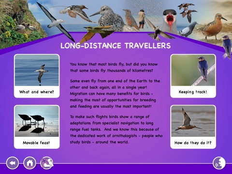 Discover MWorld Long Distance Traveller screenshot 2