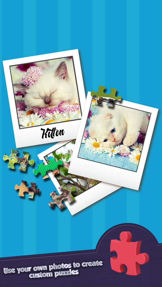 Jigsaw Cutest Kitten Ever Puzzle Puzz - Play To Enjoy