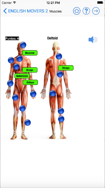 Learn English Speaking Easily In 30 days Level Movers 2 for iPhone screenshot-3