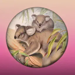 Field Guide to Queensland Fauna app icon