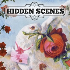 Activities of Hidden Scenes - Happy Valentine