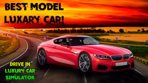 Drive In Luxury Car Simulator screenshot