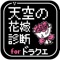 【天空の花嫁診断】
