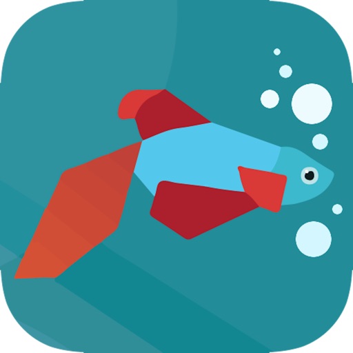 Betta Fish Guide Icon