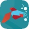 Get the ultimate GUIDE for Betta Fish and get this app WHILE it's still on SALE
